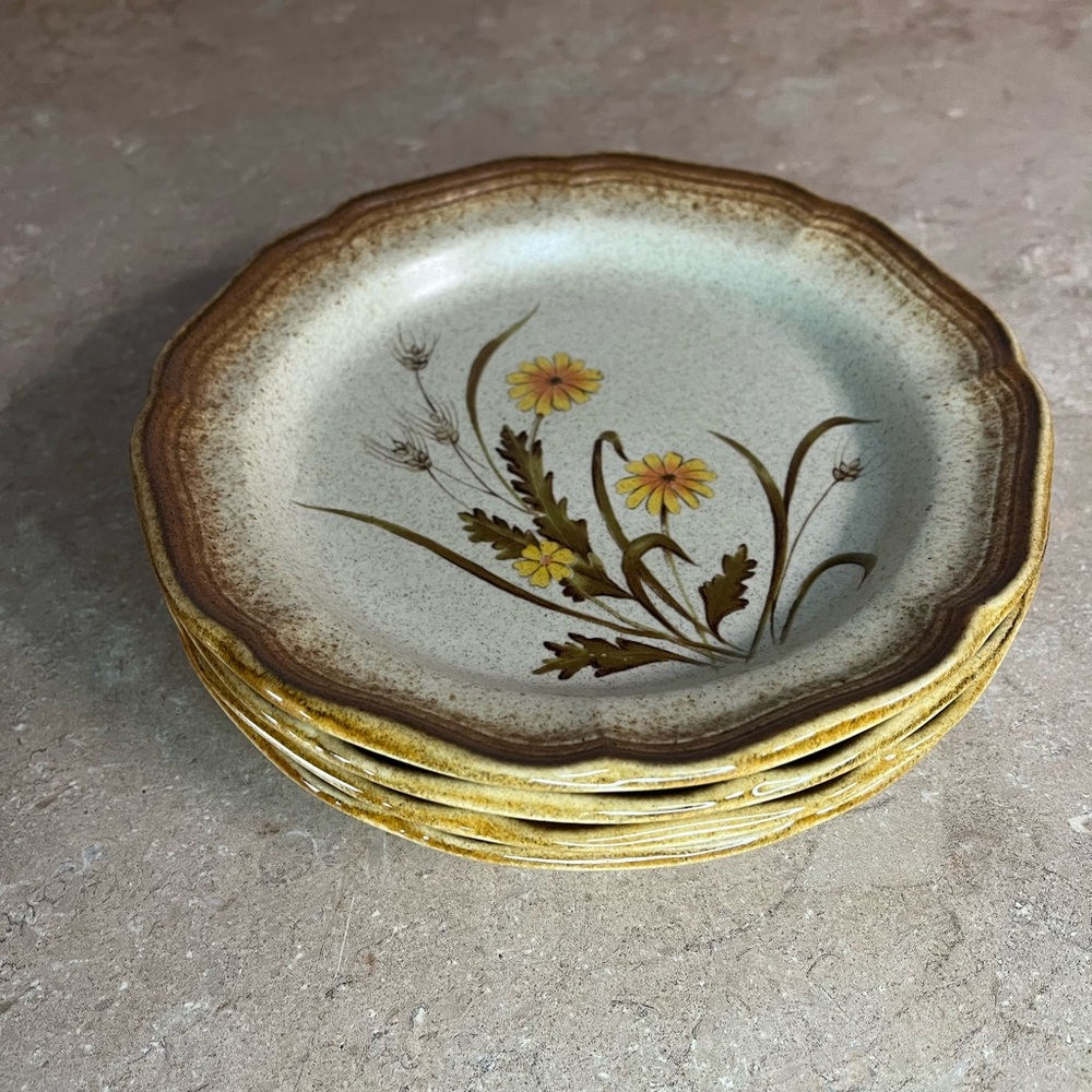 Vintage Mikasa Whole Wheat Whispering Plates